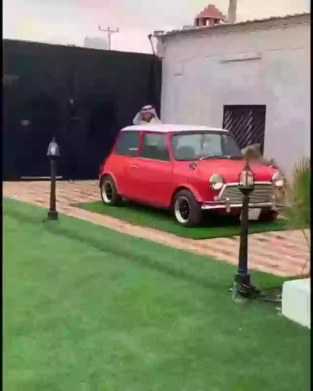 Pets Level Higher Than Burj Khalifa