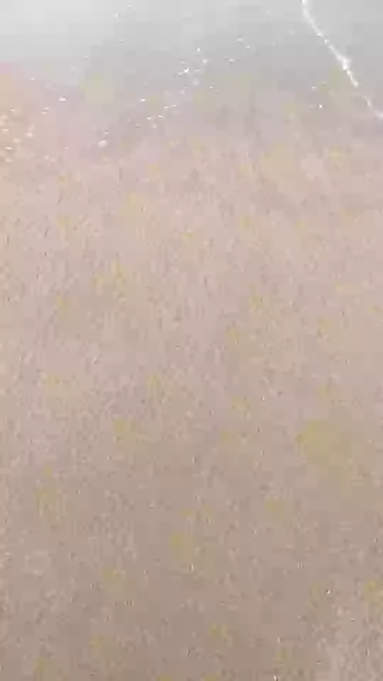 Say Goodbye To 2019 Status Video