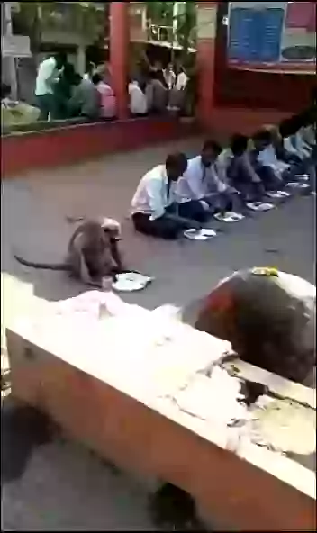 It Happens Only In India Funny Moment