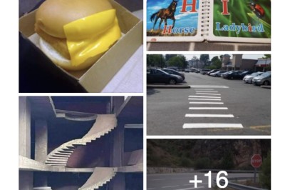 They awarded with suspension letters