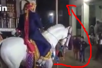 Horse Flee With Unlicky Dulha Funny Wedding Fail Video