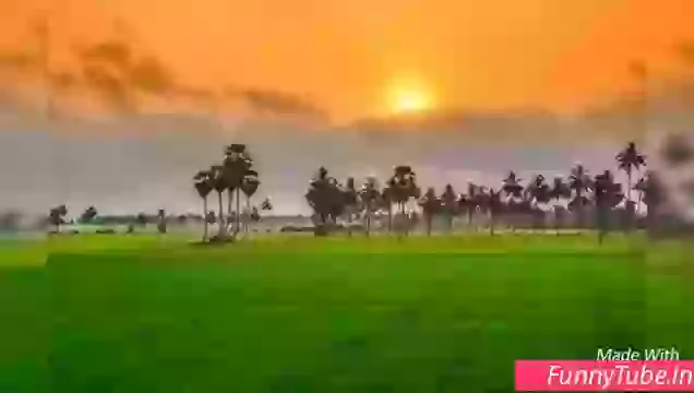 15 August Happy Independence Day Whatsapp Status