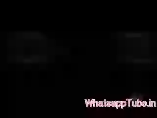 29 monkeys in 30 seconds