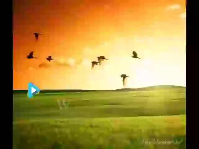 Rakshabandhan Wish Video For Whatsapp