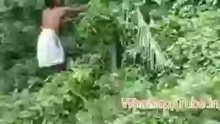 A King Cobra Bites His Son