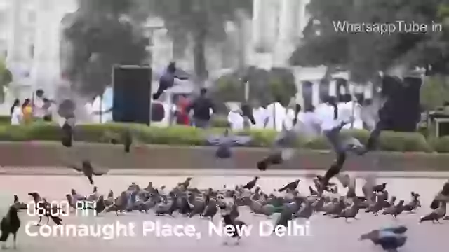 Tirupati Darshan Live