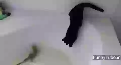 After December Black Money Holder Be Like