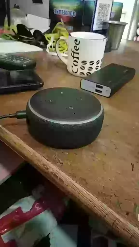 Alexa Tumhara Naam Kya Hai Funny Alexa Replay Ever