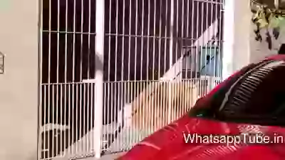 Always Happen When You Fart