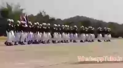 Amazing Army Trained Art
