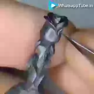 Amazing Art On Tip Of Pancil