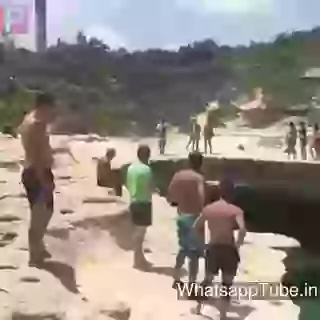 Amazing Dog Diving In For Rescue