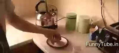 Amazing Good Morning Video For Share