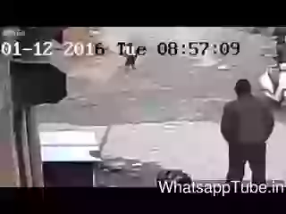 Amazing Little Girl Tripped at Exactly The Right Time