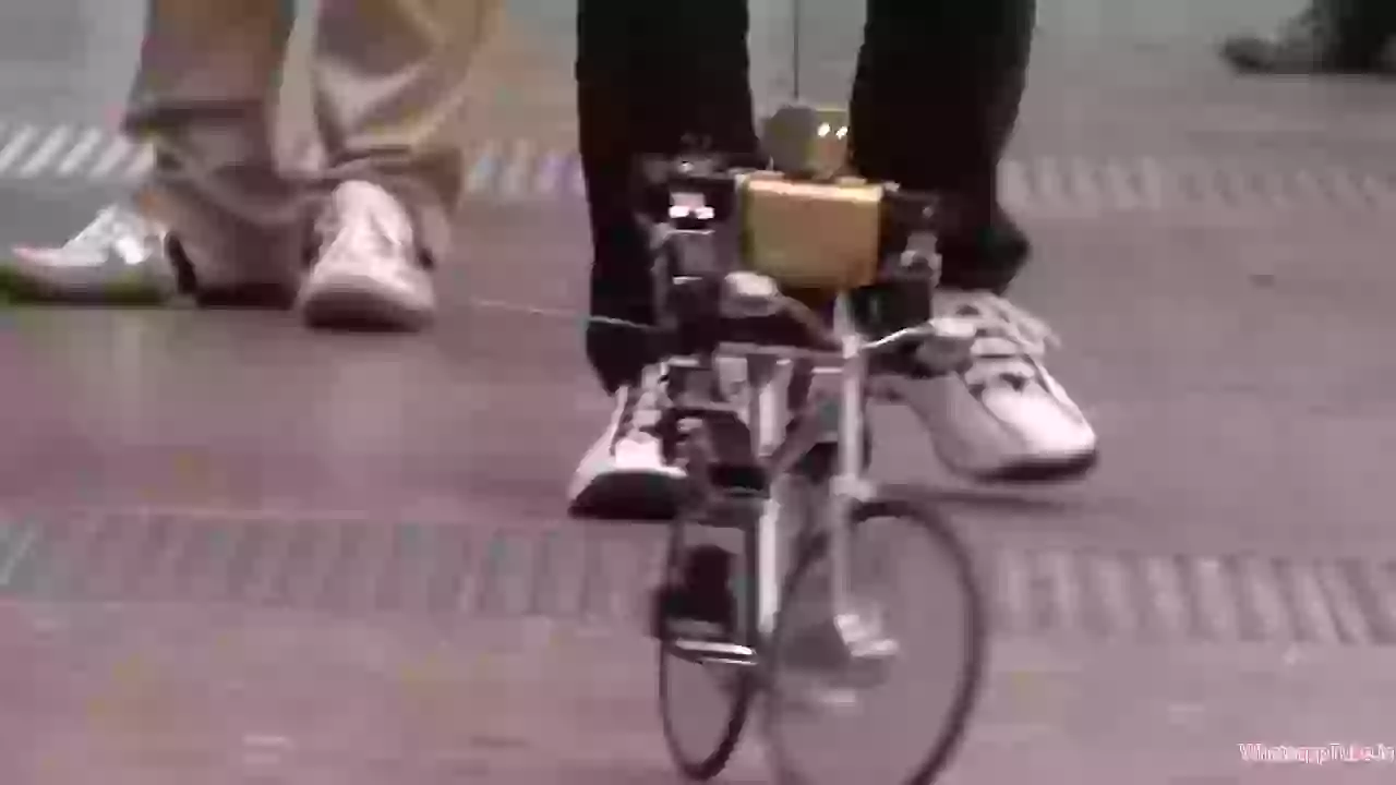 Amazing Robot On Bicycle