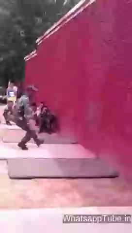 Amazing Trained Army