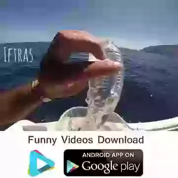 Amazing Transparent  Fish