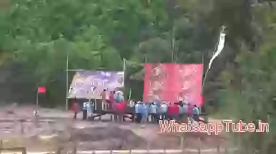 Amazing Firework must watch