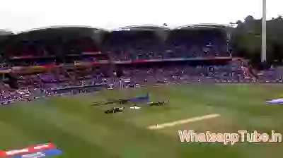 Amazing moment ind pak match wc2015