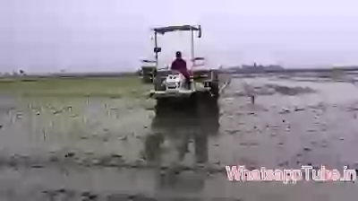 Amazing techo in farming