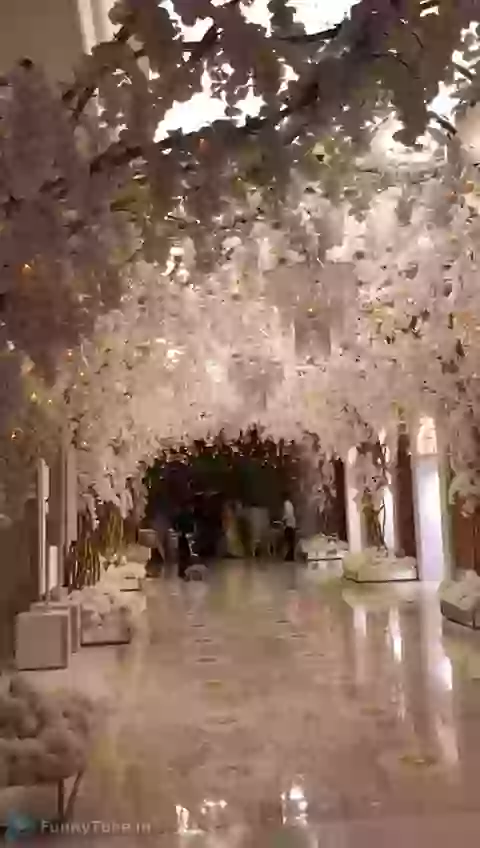 An Adorable Decoration At Ambani Wedding Whatsapp Video