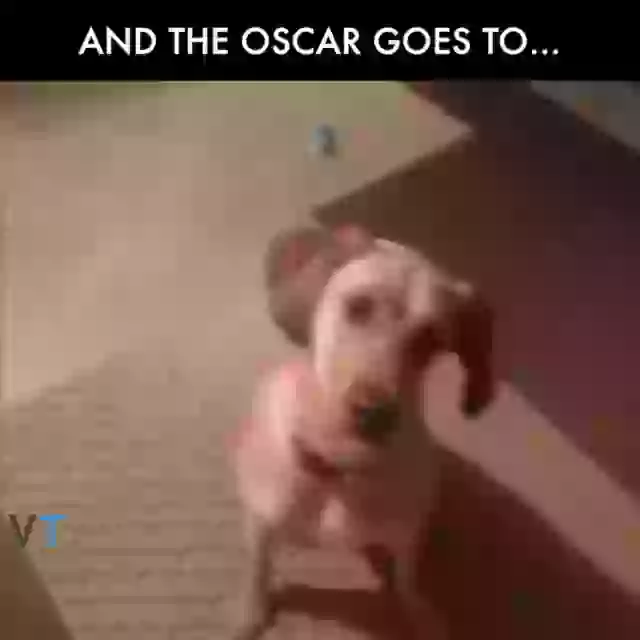 And The Oscar Goes To