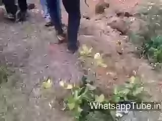 Animal Angry On Village People