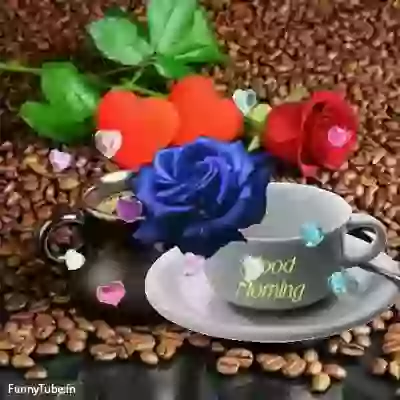 Animated GIF For Good Morning Whatsapp Status