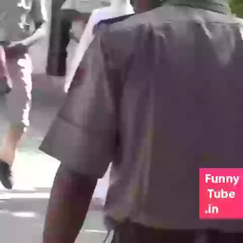 Funny Dog Reaction GIF