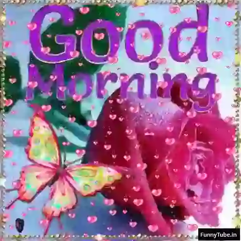 Beautiful Animated Good Morning Whatsapp Status GIF