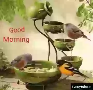 Beautiful GIF For Good Morning Wish