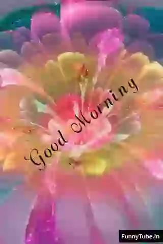 Beautiful Good Morning Animated GIF Status