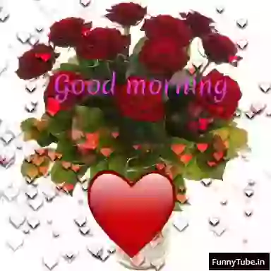 Beautiful Good Morning GIF Status Video