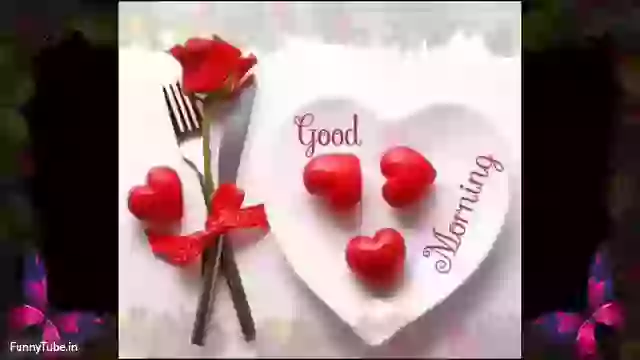 Beautiful Good Morning Song For Whatsapp Status