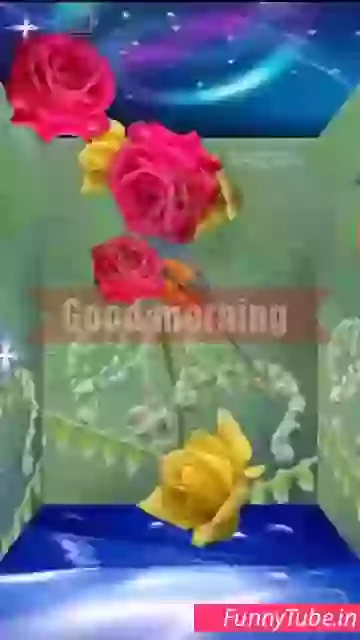 Beautiful Good Morning Song