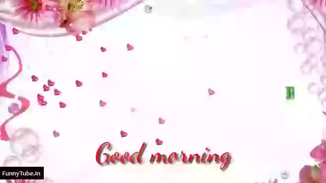 Beautiful Good Morning Whatsapp Video Download