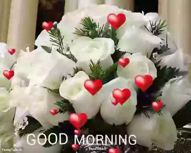 Beautiful Roses For Good Morning Whatsapp Status GIF