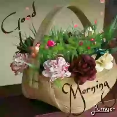 Beautiful good morning whatsapp GIF