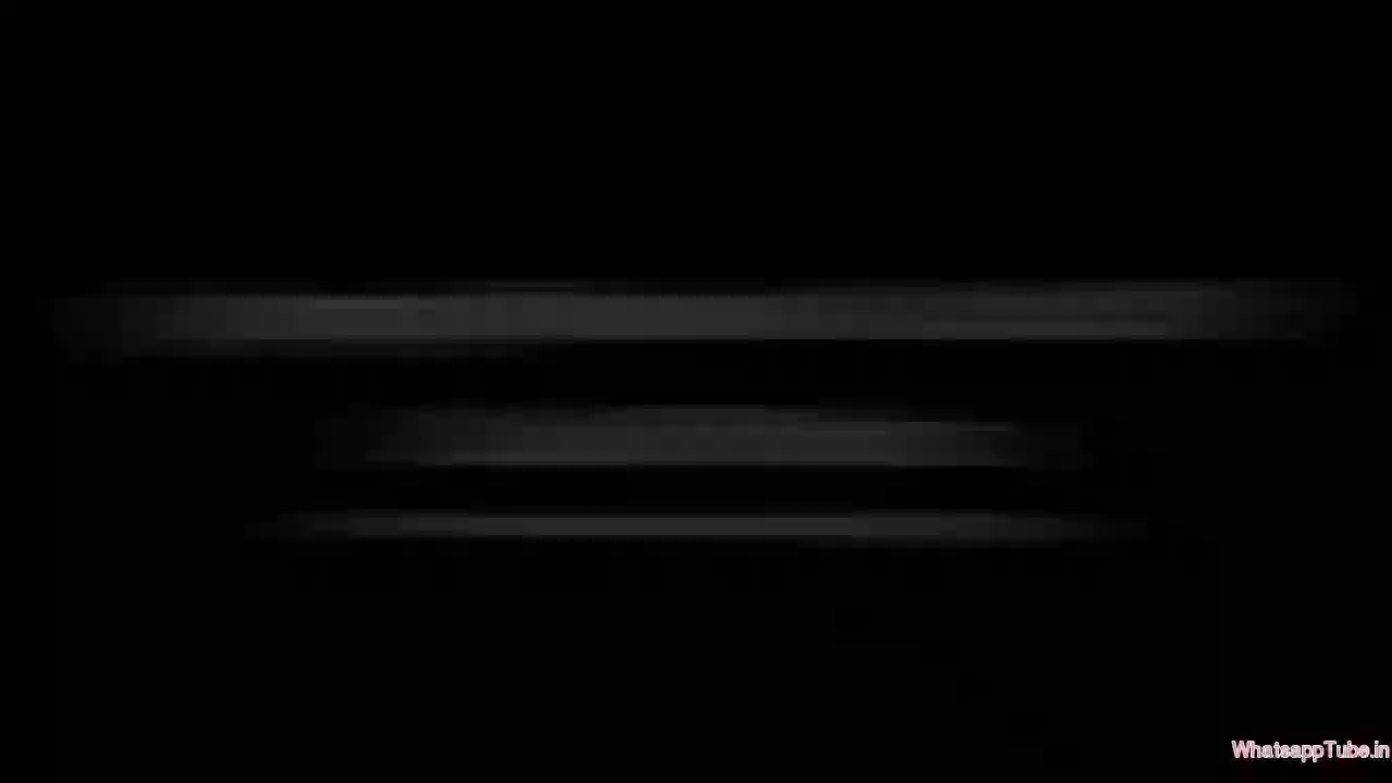 Best Trained Dog Ever