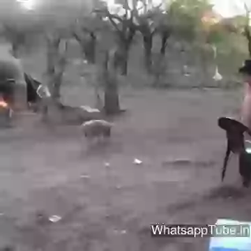 Beware My Mom Is Here