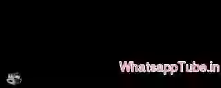 Black and white people