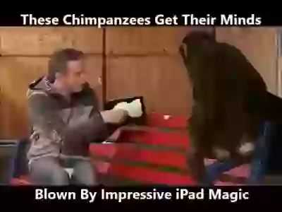 Blown By Impressive iPad Magic