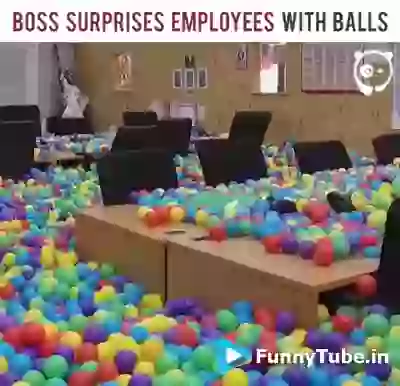 Boss Surprises Employees Funny
