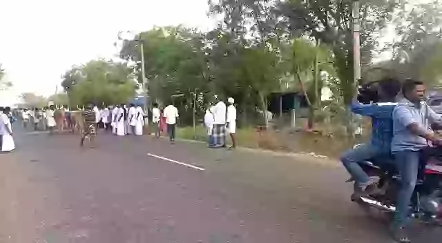 Cameraman Vs Cow Buffalo Funny Fail Status