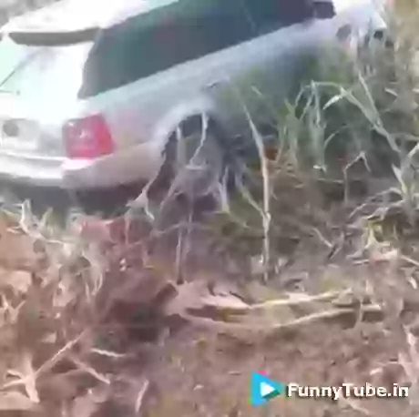 Car In Mud Funny GIF