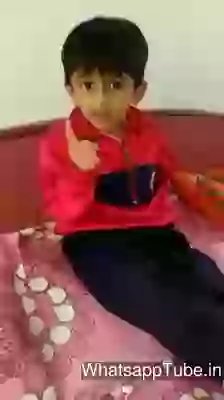 Chello Divas 2 Trailer