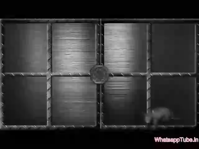 Message From Shree Krishna