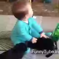 Cute Baby And Puppies Video