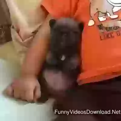Cute Baby With Little Puppies