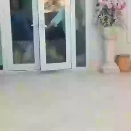 Cuteness Is Overloaded